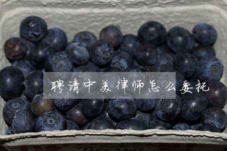 聘请中美律师怎么委托 聘请中美律师怎么委托
