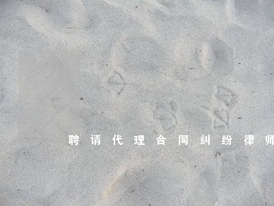 聘请代理合同纠纷律师 聘请代理合同纠纷律师
