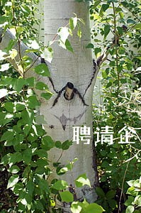 聘请企业法律顾问服务 聘请企业法律顾问服务
