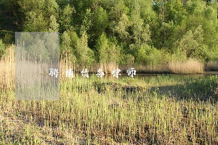 聘请债务律师 聘请债务律师