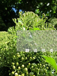 聘请债务纠纷咨询律师咨询电话 聘请债务纠纷咨询律师咨询电话