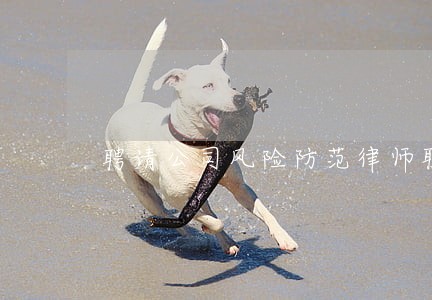 聘请公司风险防范律师联系电话 聘请公司风险防范律师联系电话