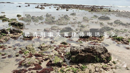 聘请刑事大案律师电话多少 聘请刑事大案律师电话多少