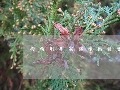 聘请刑事案律师微信咨询 聘请刑事案律师微信咨询
