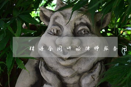 聘请合同诉讼律师服务网站 聘请合同诉讼律师服务网站