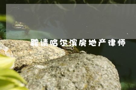 聘请哈尔滨房地产律师 聘请哈尔滨房地产律师