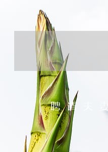 聘请夫妻债务律师 聘请夫妻债务律师