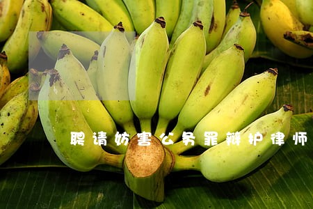 聘请妨害公务罪辩护律师法律咨询 聘请妨害公务罪辩护律师法律咨询