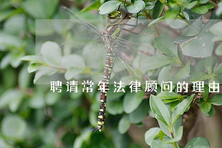 聘请常年法律顾问的理由 聘请常年法律顾问的理由