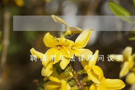 聘请常年法律顾问议案 聘请常年法律顾问议案