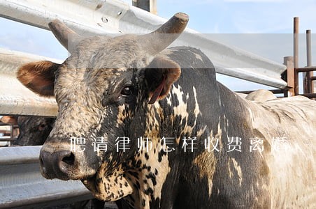 聘请律师怎样收费离婚 聘请律师怎样收费离婚