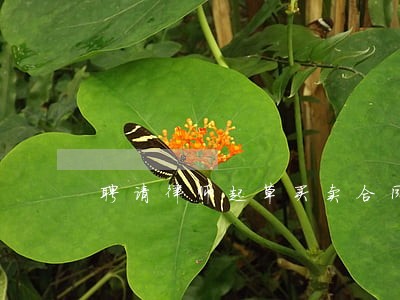 聘请律师起草买卖合同收费标准 聘请律师起草买卖合同收费标准