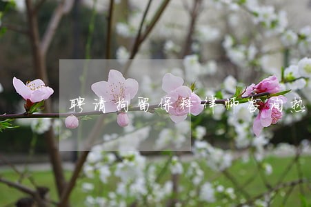聘请拘留保释律师咨询热线 聘请拘留保释律师咨询热线