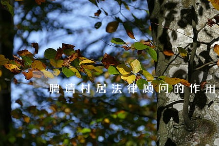 聘请村居法律顾问的作用