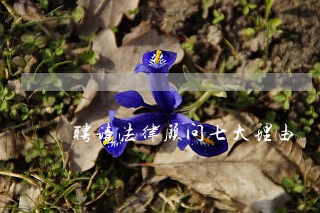 聘请法律顾问七大理由 聘请法律顾问七大理由