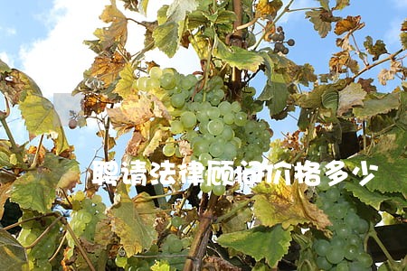 聘请法律顾问价格多少 聘请法律顾问价格多少