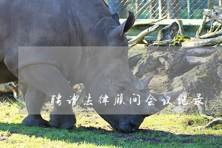 聘请法律顾问会议记录 聘请法律顾问会议记录