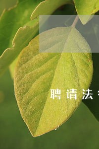 聘请法律顾问合作方案 聘请法律顾问合作方案