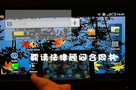 聘请法律顾问合同书 聘请法律顾问合同书