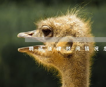 聘请法律顾问情况怎么写 聘请法律顾问情况怎么写