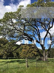 聘请法律顾问把关 聘请法律顾问把关