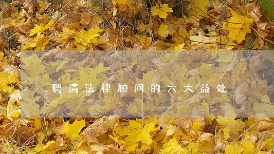 聘请法律顾问的六大益处 聘请法律顾问的六大益处