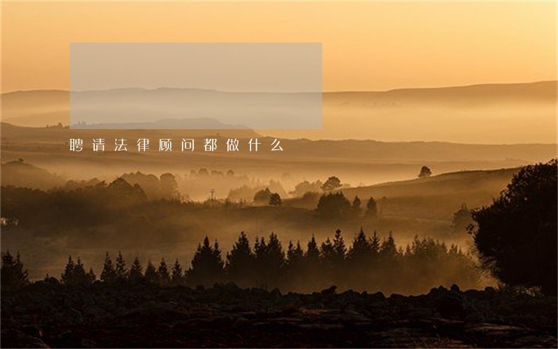 聘请法律顾问都做什么 聘请法律顾问都做什么