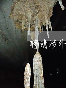 聘请涉外商事律师咨询 聘请涉外商事律师咨询