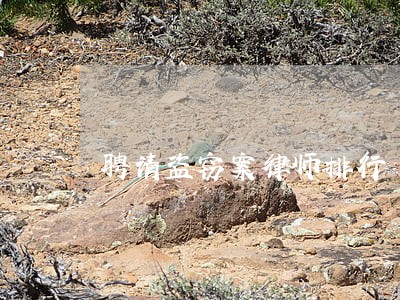 聘请盗窃案律师排行 聘请盗窃案律师排行