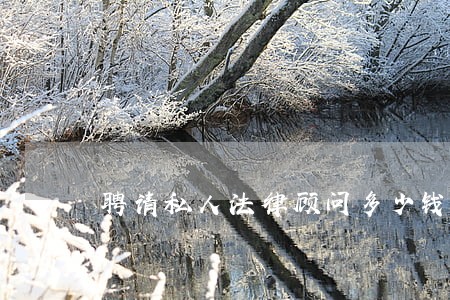 聘请私人法律顾问多少钱 聘请私人法律顾问多少钱