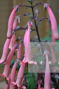 聘请股权转让专业律师 聘请股权转让专业律师
