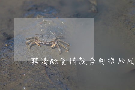 聘请融资借款合同律师团队 聘请融资借款合同律师团队