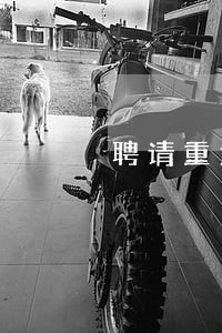 聘请重大疑难刑事案律师电话微信 聘请重大疑难刑事案律师电话微信