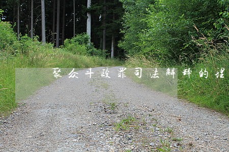聚众斗殴罪司法解释的理解与适用 聚众斗殴罪司法解释的理解与适用