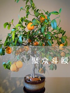 聚众斗殴被抓律师 聚众斗殴被抓律师