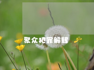 聚众犯罪解释 聚众犯罪解释