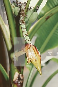 聚利宝逾期爆通讯录 聚利宝逾期爆通讯录