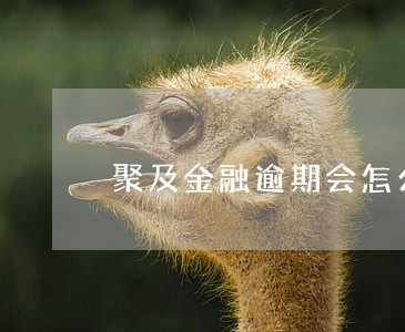 聚及金融逾期会怎么样 聚及金融逾期会怎么样