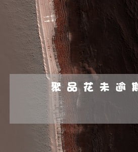 聚品花未逾期就催收 聚品花未逾期就催收