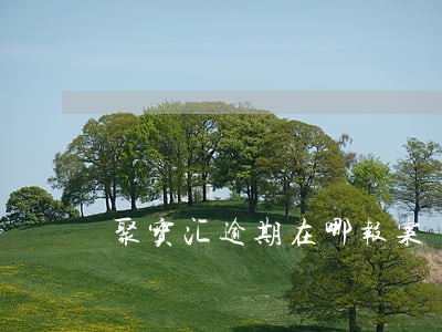 聚宝汇逾期在哪报案 聚宝汇逾期在哪报案
