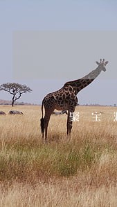 聚宝汇逾期聚报案 聚宝汇逾期聚报案