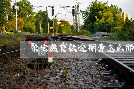 聚宝盆贷款逾期费怎么那么高 聚宝盆贷款逾期费怎么那么高