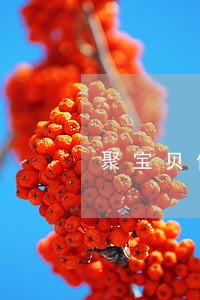 聚宝贝借款逾期还会自动还款吗 聚宝贝借款逾期还会自动还款吗