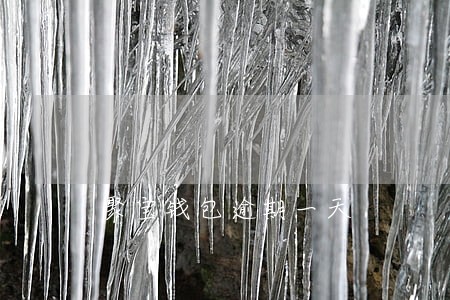 聚宝钱包逾期一天
