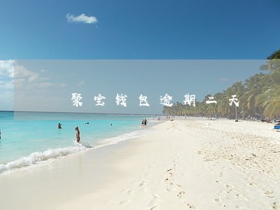 聚宝钱包逾期二天 聚宝钱包逾期二天