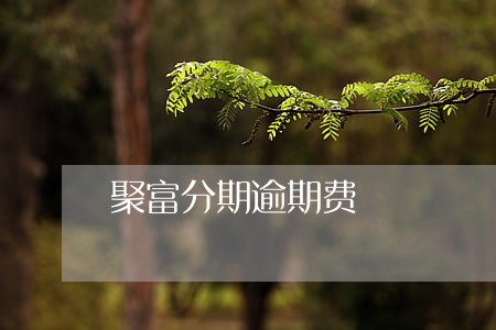 聚富分期逾期费 聚富分期逾期费