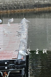 聚星钱包逾期后果 聚星钱包逾期后果