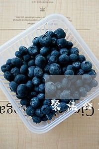 聚焦公益诉讼