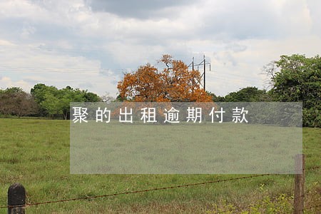 聚的出租逾期付款