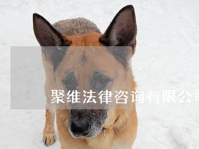 聚维法律咨询有限公司 聚维法律咨询有限公司